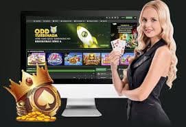 5u vip bet